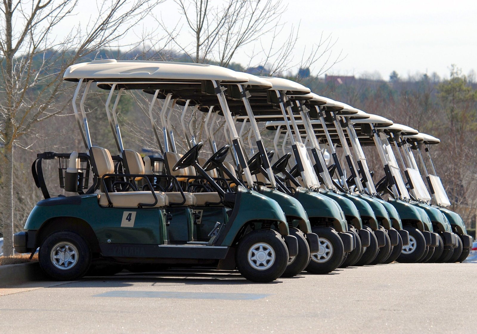 Golf Cart Works - Golf cart servicing and repairs in Whangarei